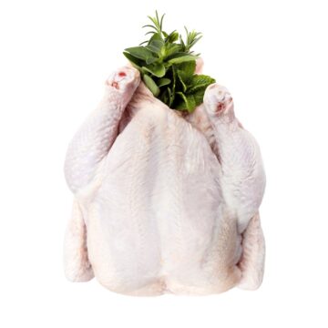 Fresh chicken