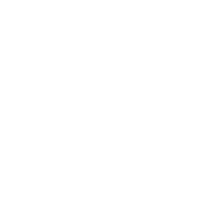 Frozen Fries